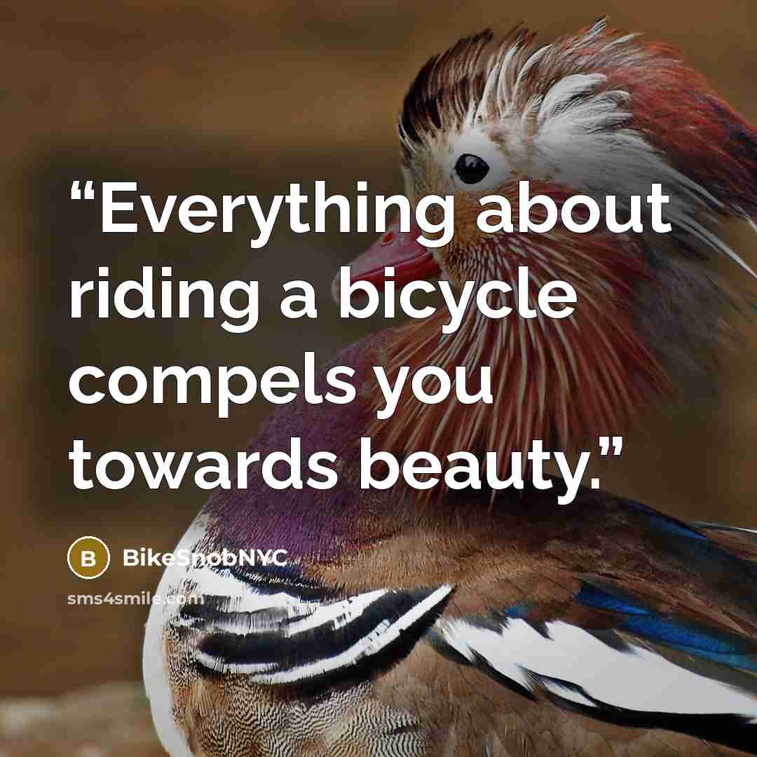 “Everything about riding a bicycle compels you towards beauty.” quote by BikeSnobNYC