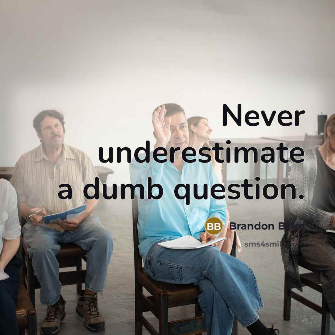 “Never underestimate a dumb question.” quote by Brandon Boyd