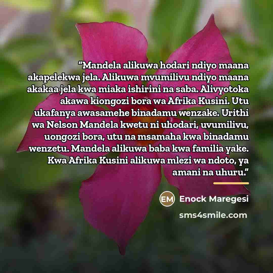“Mandela alikuwa hodari ndiyo maana akapelekwa jela. Alikuwa mvumilivu ndiyo maana akakaa jela kwa miaka ishirini na saba. Alivyotoka akawa kiongozi bora wa Afrika Kusini. Utu ukafanya awasamehe binadamu wenzake. Urithi wa Nelson Mandela kwetu ni uhodari, uvumilivu, uongozi bora, utu na msamaha kwa…” quote by Enock Maregesi