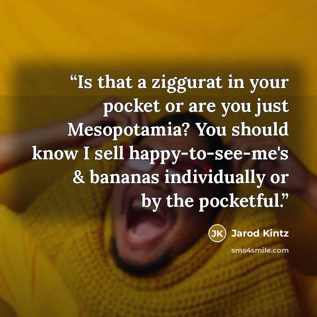 “Is that a ziggurat in your pocket or are you just Mesopotamia? You should know I sell happy-to-see-me's & bananas individually or by the pocketful.” quote by Jarod Kintz
