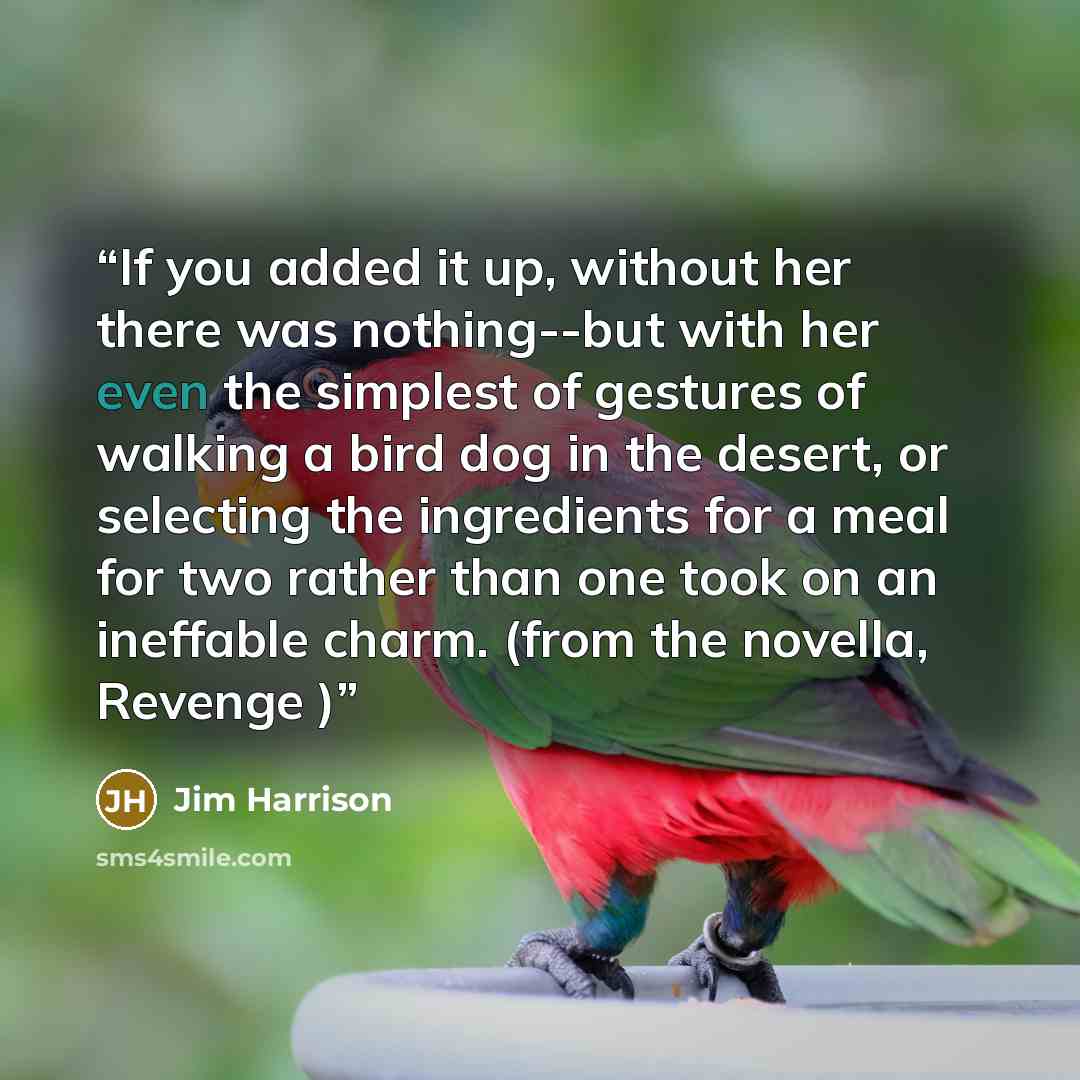“If you added it up, without her there was nothing--but with her even the simplest of gestures of walking a bird dog in the desert, or selecting the ingredients for a meal for two rather than one took on an ineffable charm. (from the novella, Revenge )” quote by Jim Harrison