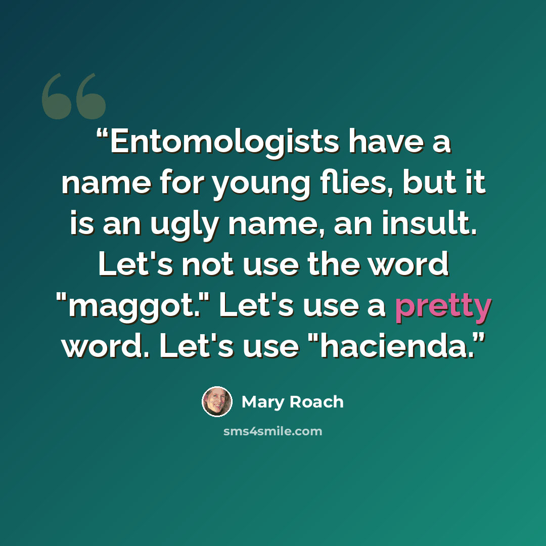 “Entomologists have a name for young flies, but it is an ugly name, an insult. Let's not use the word "maggot." Let's use a pretty word. Let's use "hacienda.” quote by Mary Roach