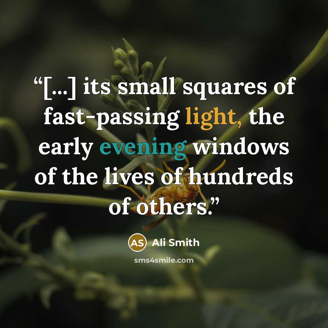 “[...] its small squares of fast-passing light, the early evening windows of the lives of hundreds of others.” quote by Ali Smith