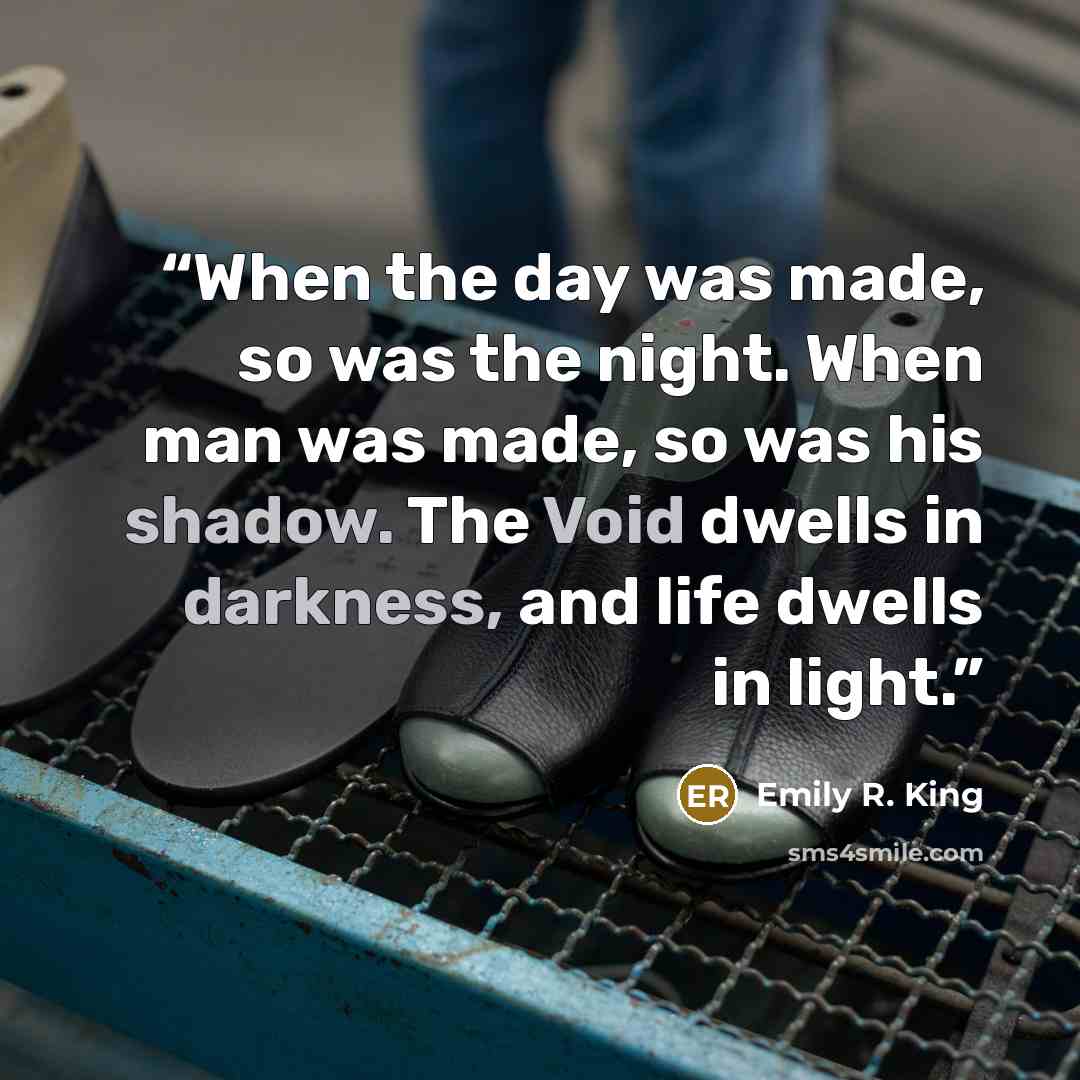 “When the day was made, so was the night. When man was made, so was his shadow. The Void dwells in darkness, and life dwells in light.” quote by Emily R. King