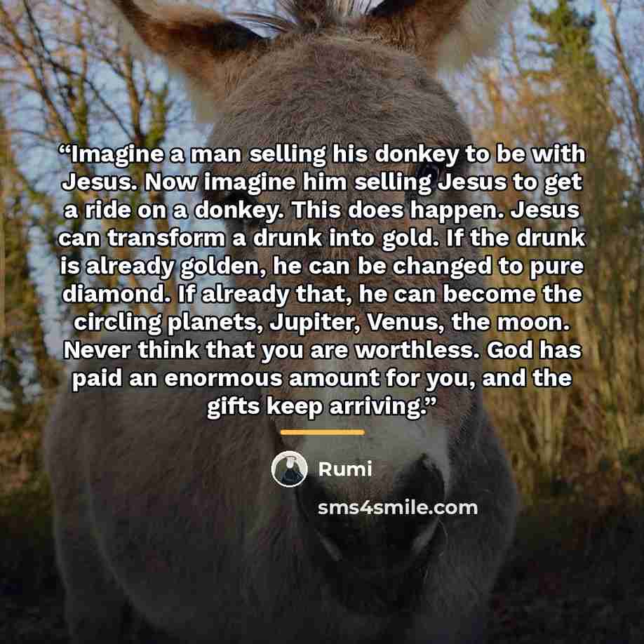 “Imagine a man selling his donkey to be with Jesus. Now imagine him selling Jesus to get a ride on a donkey. This does happen. Jesus can transform a drunk into gold. If the drunk is already golden, he can be changed to pure diamond. If already that, he can become the circling planets, Jupiter…” quote by Rumi