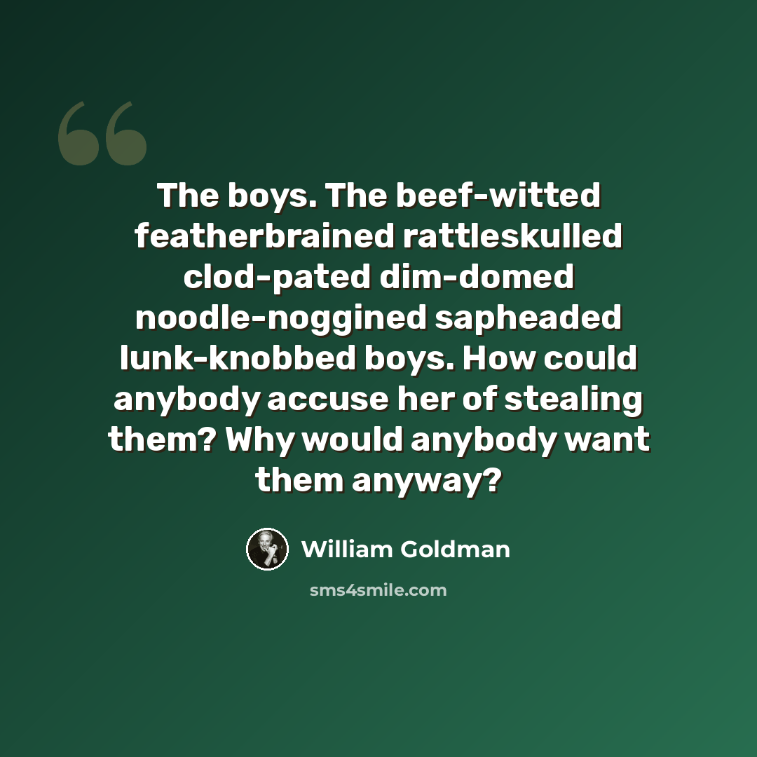 “The boys. The beef-witted featherbrained rattleskulled clod-pated dim-domed noodle-noggined sapheaded lunk-knobbed boys. How could anybody accuse her of stealing them? Why would anybody want them anyway?” quote by William Goldman