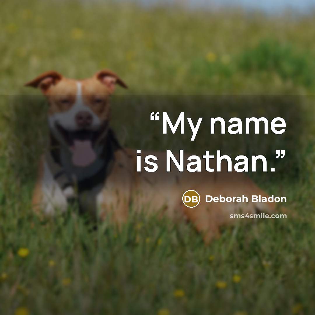 “My name is Nathan.” quote by Deborah Bladon