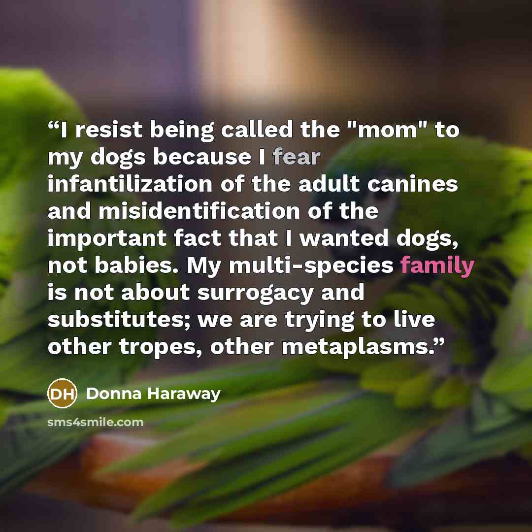 “I resist being called the "mom" to my dogs because I fear infantilization of the adult canines and misidentification of the important fact that I wanted dogs, not babies. My multi-species family is not about surrogacy and substitutes; we are trying to live other tropes, other metaplasms.” quote by Donna Haraway