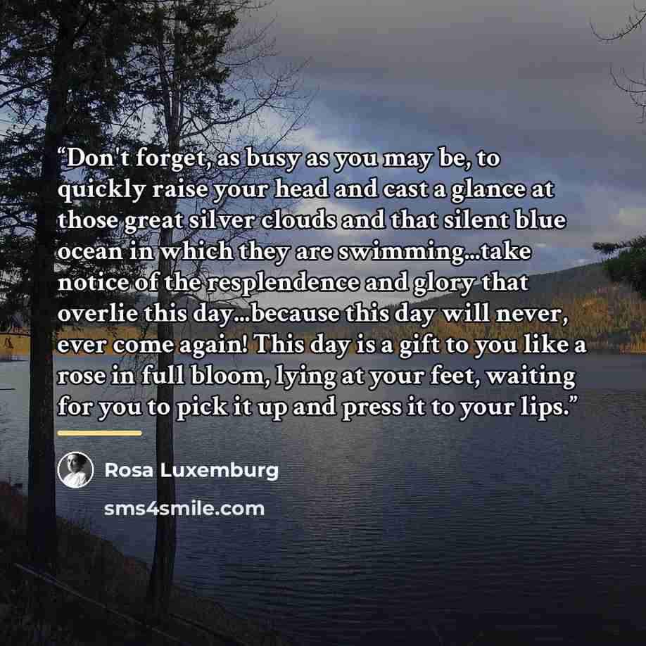 “Don't forget, as busy as you may be, to quickly raise your head and cast a glance at those great silver clouds and that silent blue ocean in which they are swimming...take notice of the resplendence and glory that overlie this day...because this day will never, ever come again! This day is a gift…” quote by Rosa Luxemburg