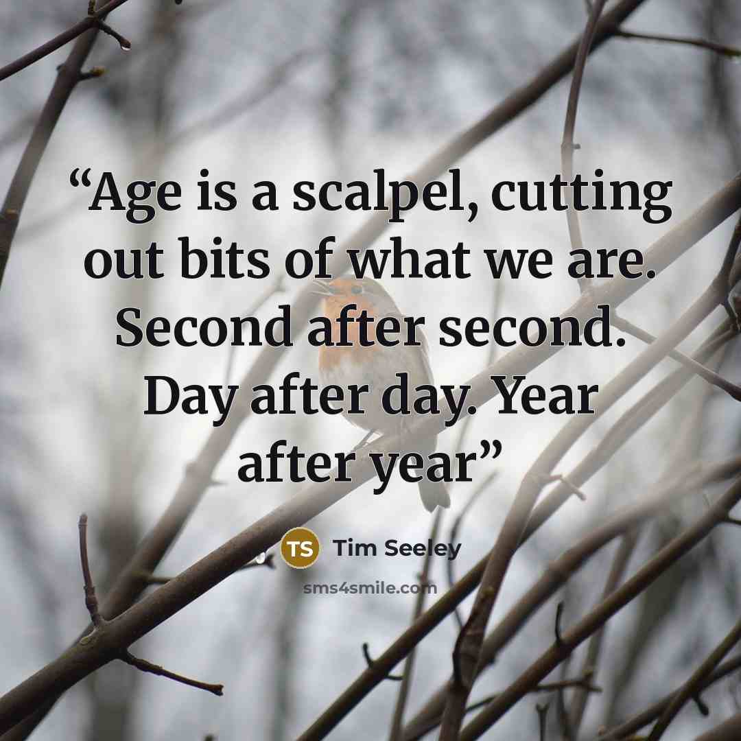 “Age is a scalpel, cutting out bits of what we are. Second after second. Day after day. Year after year” quote by Tim Seeley