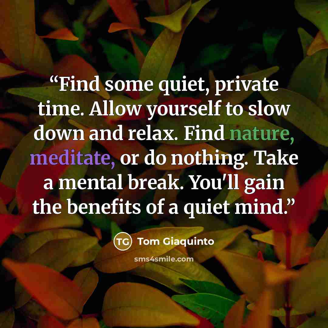 “Find some quiet, private time. Allow yourself to slow down and relax. Find nature, meditate, or do nothing. Take a mental break. You'll gain the benefits of a quiet mind.” quote by Tom Giaquinto
