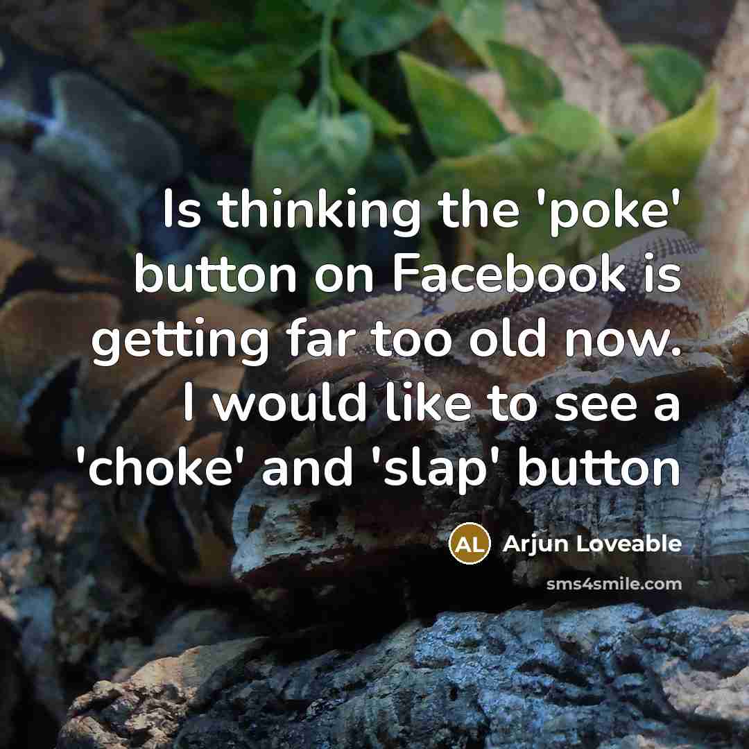 “Is thinking the 'poke' button on Facebook is getting far too old now. I would like to see a 'choke' and 'slap' button” quote by Arjun Loveable
