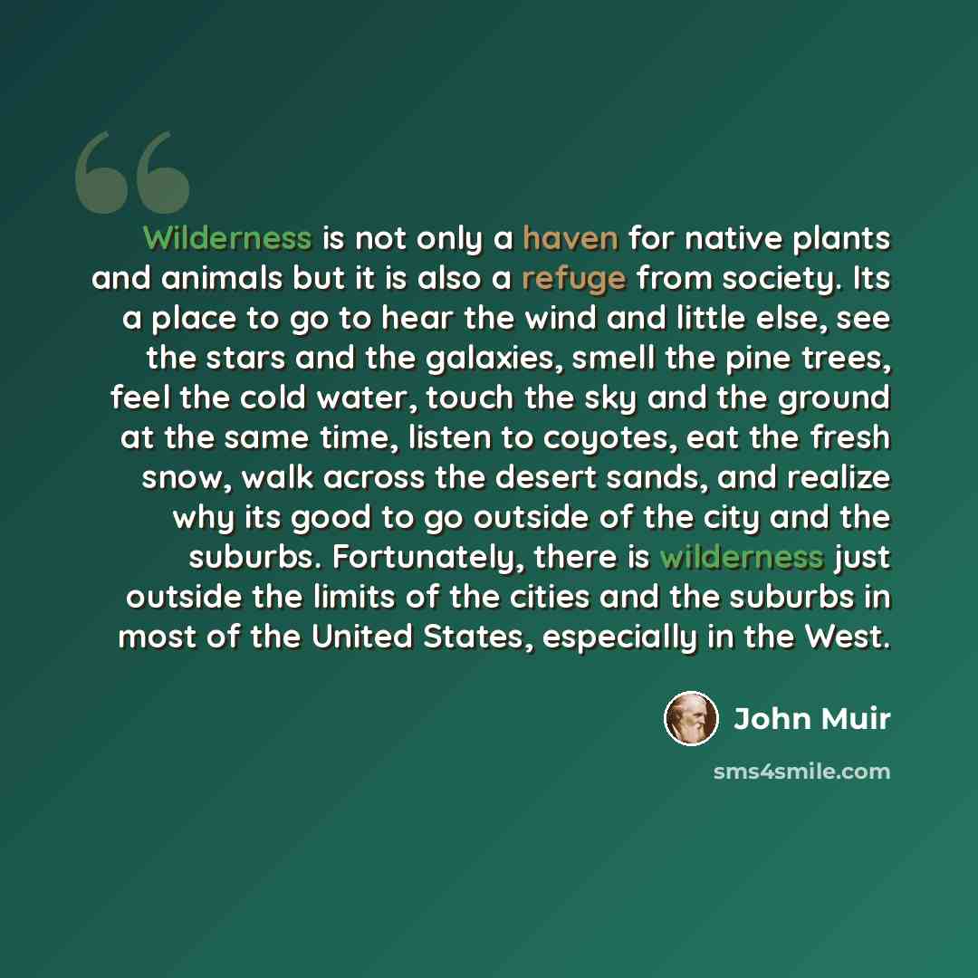 “Wilderness is not only a haven for native plants and animals but it is also a refuge from society. Its a place to go to hear the wind and little else, see the stars and the galaxies, smell the pine trees, feel the cold water, touch the sky and the ground at the same time, listen to coyotes, eat…” quote by John Muir