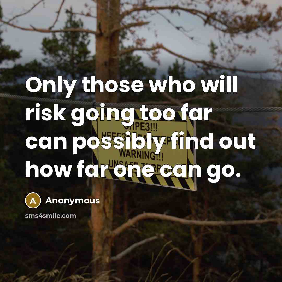 “Only those who will risk going too far can possibly find out how far one can go.” quote by Anonymous