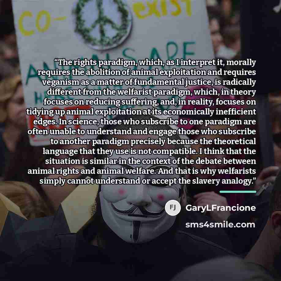 “The rights paradigm, which, as I interpret it, morally requires the abolition of animal exploitation and requires veganism as a matter of fundamental justice, is radically different from the welfarist paradigm, which, in theory focuses on reducing suffering, and, in reality, focuses on tidying up…” quote by GaryLFrancione
