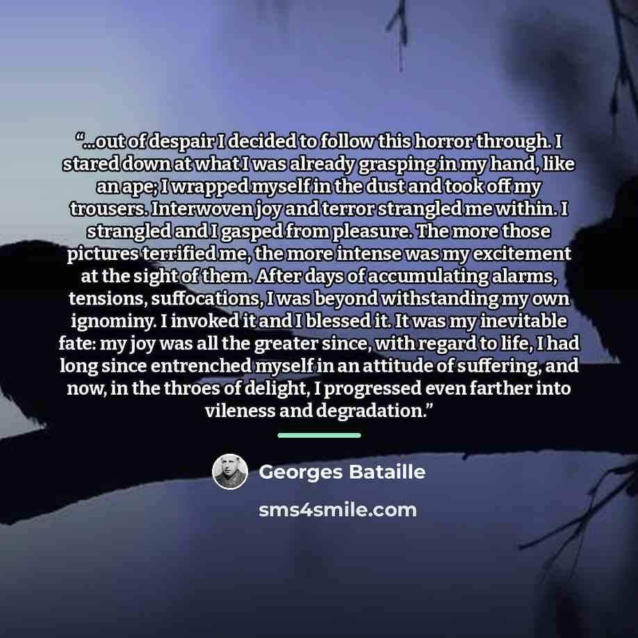 “...out of despair I decided to follow this horror through. I stared down at what I was already grasping in my hand, like an ape; I wrapped myself in the dust and took off my trousers. Interwoven joy and terror strangled me within. I strangled and I gasped from pleasure. The more those pictures…” quote by Georges Bataille