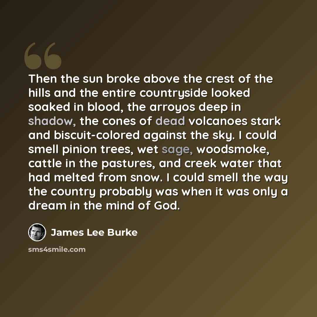 “Then the sun broke above the crest of the hills and the entire countryside looked soaked in blood, the arroyos deep in shadow, the cones of dead volcanoes stark and biscuit-colored against the sky. I could smell pinion trees, wet sage, woodsmoke, cattle in the pastures, and creek water that had…” quote by James Lee Burke