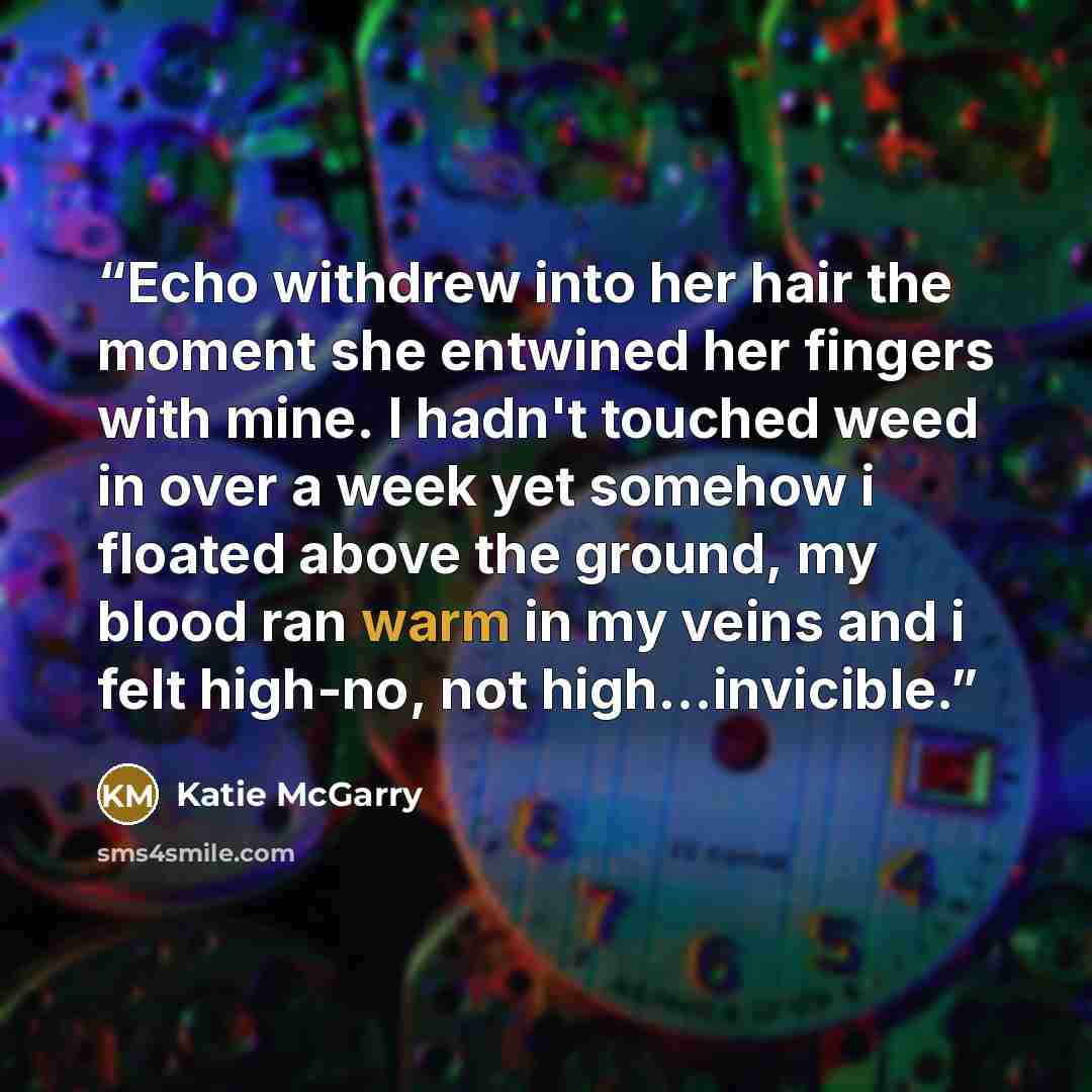 “Echo withdrew into her hair the moment she entwined her fingers with mine. I hadn't touched weed in over a week yet somehow i floated above the ground, my blood ran warm in my veins and i felt high-no, not high...invicible.” quote by Katie McGarry