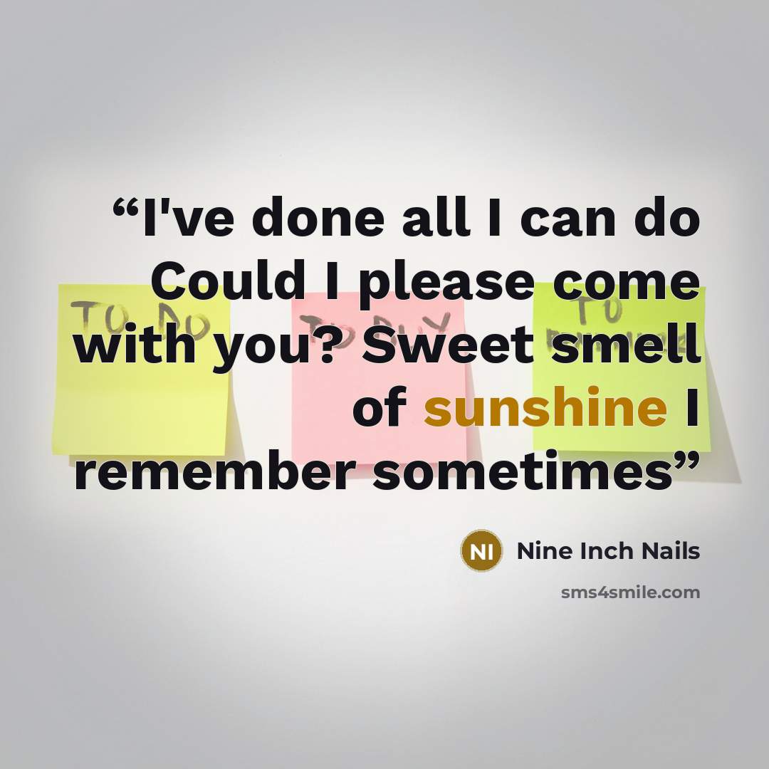 “I've done all I can do Could I please come with you? Sweet smell of sunshine I remember sometimes” quote by Nine Inch Nails