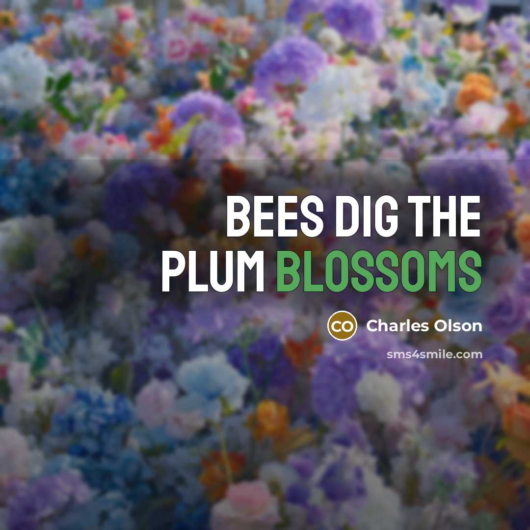 “bees dig the plum blossoms” quote by Charles Olson