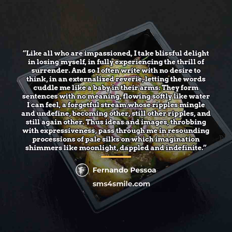 “Like all who are impassioned, I take blissful delight in losing myself, in fully experiencing the thrill of surrender. And so I often write with no desire to think, in an externalized reverie, letting the words cuddle me like a baby in their arms. They form sentences with no meaning, flowing…” quote by Fernando Pessoa