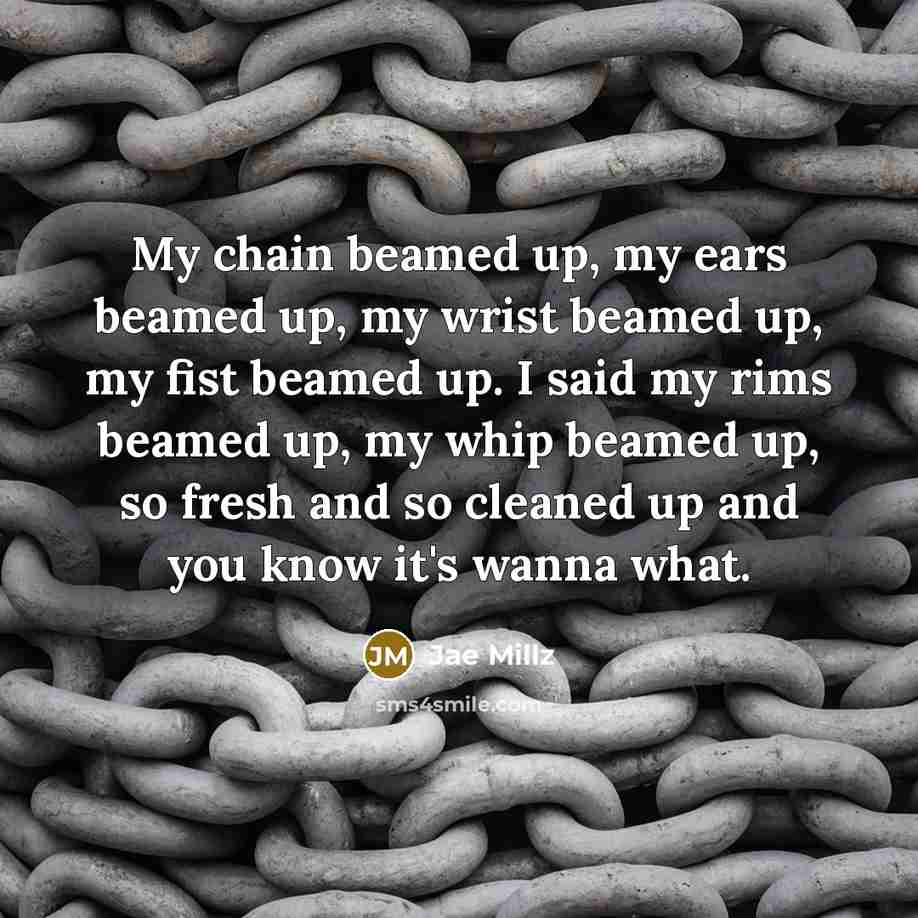 “My chain beamed up, my ears beamed up, my wrist beamed up, my fist beamed up. I said my rims beamed up, my whip beamed up, so fresh and so cleaned up and you know it's wanna what.” quote by Jae Millz