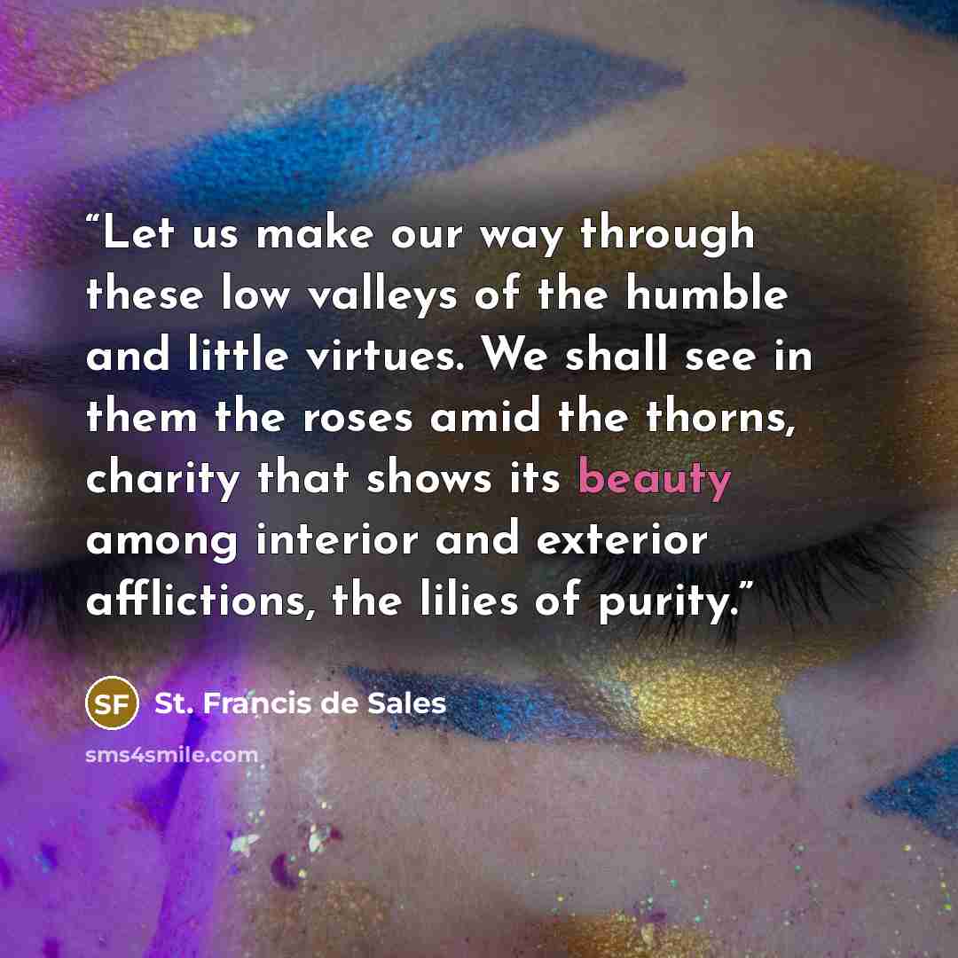 “Let us make our way through these low valleys of the humble and little virtues. We shall see in them the roses amid the thorns, charity that shows its beauty among interior and exterior afflictions, the lilies of purity.” quote by St. Francis de Sales