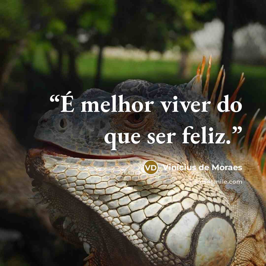 “É melhor viver do que ser feliz.” quote by Vinicius de Moraes