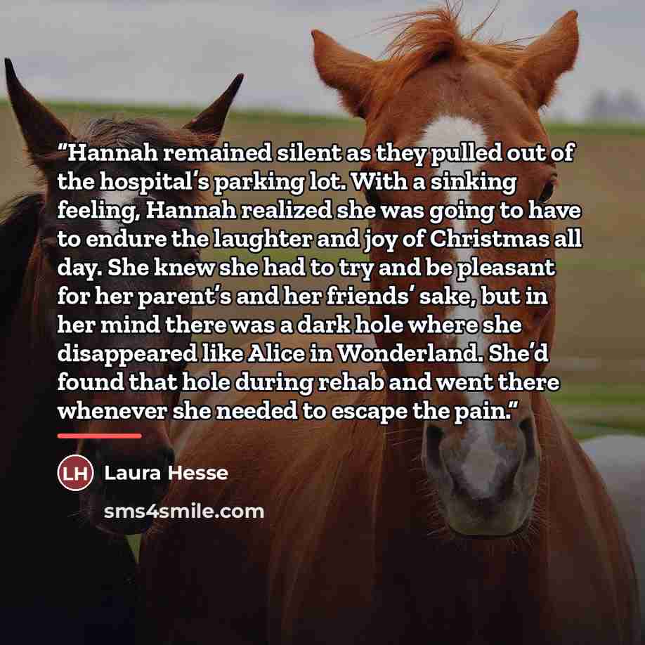 “Hannah remained silent as they pulled out of the hospital’s parking lot. With a sinking feeling, Hannah realized she was going to have to endure the laughter and joy of Christmas all day. She knew she had to try and be pleasant for her parent’s and her friends’ sake, but in her mind there was a…” quote by Laura Hesse