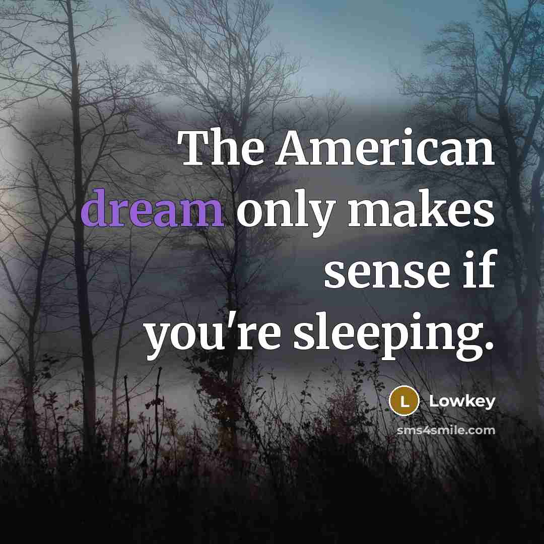 “The American dream only makes sense if you're sleeping.” quote by Lowkey