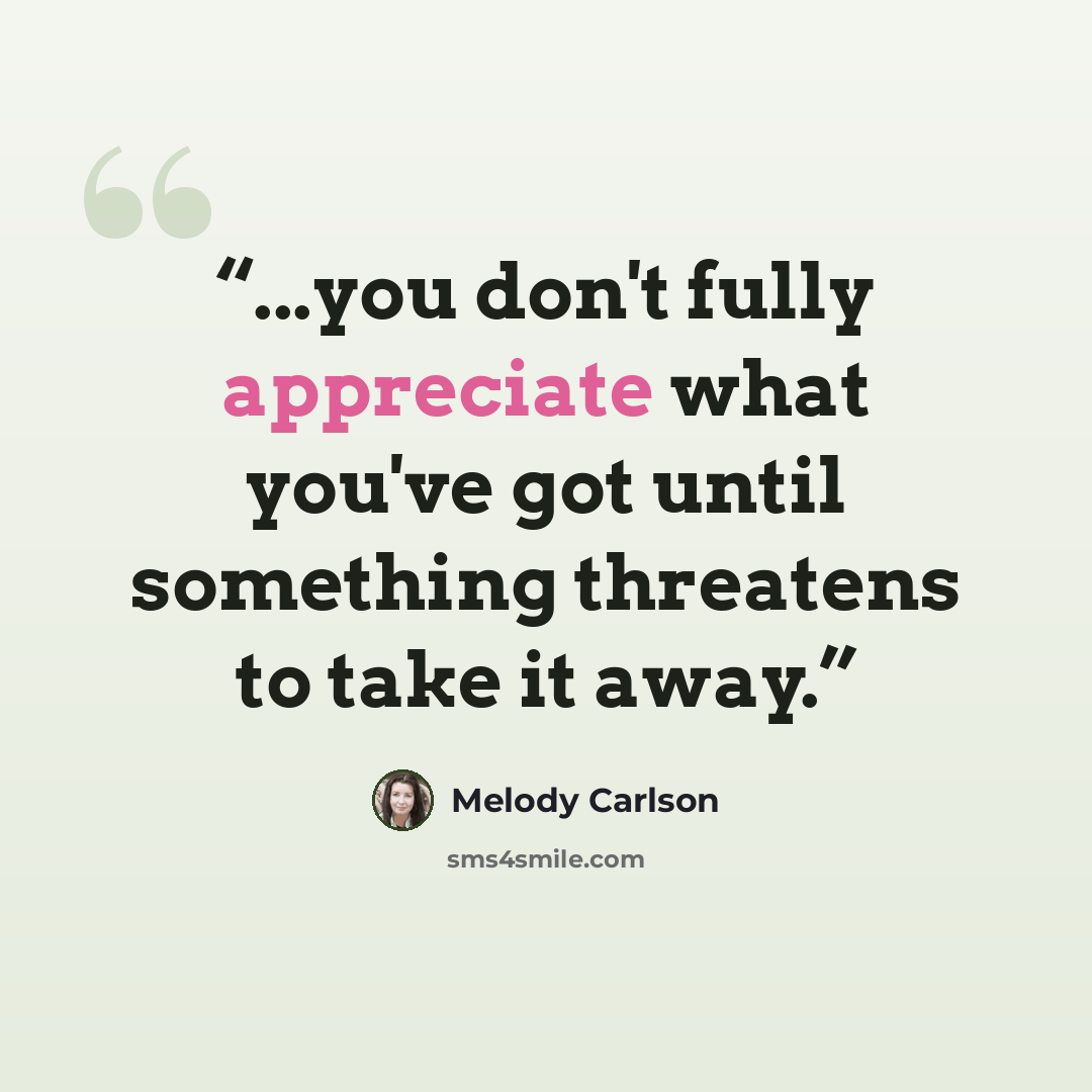 “...you don't fully appreciate what you've got until something threatens to take it away.” quote by Melody Carlson