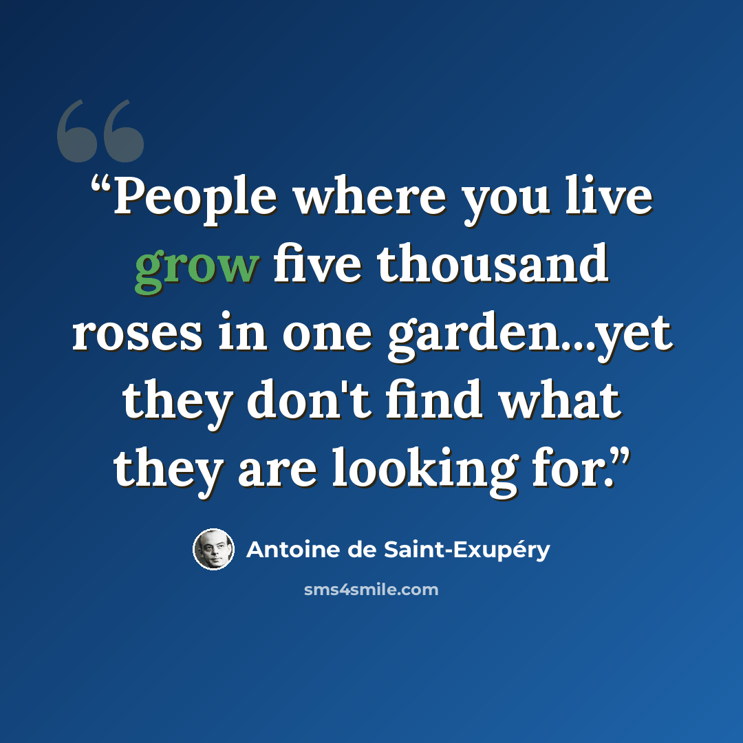 “People where you live grow five thousand roses in one garden...yet they don't find what they are looking for.” quote by Antoine de Saint-Exupéry