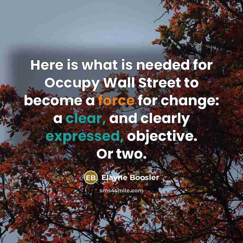 “Here is what is needed for Occupy Wall Street to become a force for change: a clear, and clearly expressed, objective. Or two.” quote by Elayne Boosler