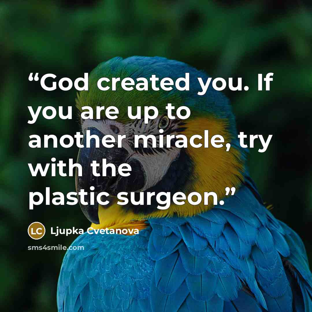 “God created you. If you are up to another miracle, try with the plastic surgeon.” quote by Ljupka Cvetanova