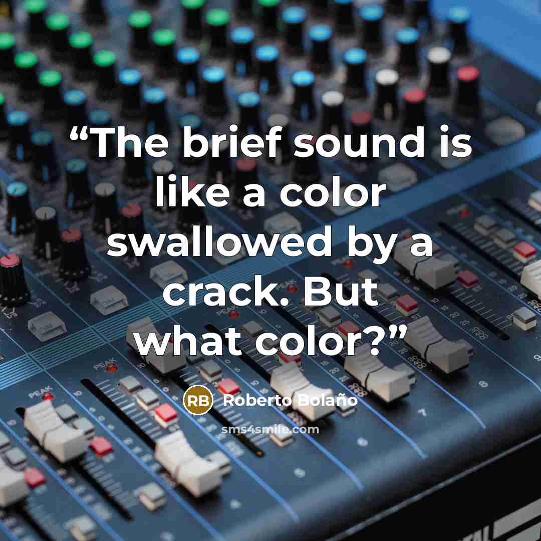 “The brief sound is like a color swallowed by a crack. But what color?” quote by Roberto Bolaño