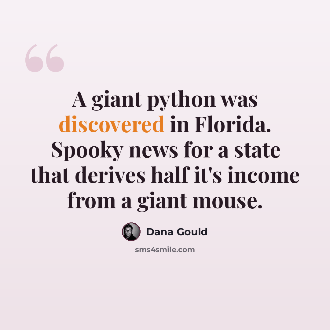 “A giant python was discovered in Florida. Spooky news for a state that derives half it's income from a giant mouse.” quote by Dana Gould