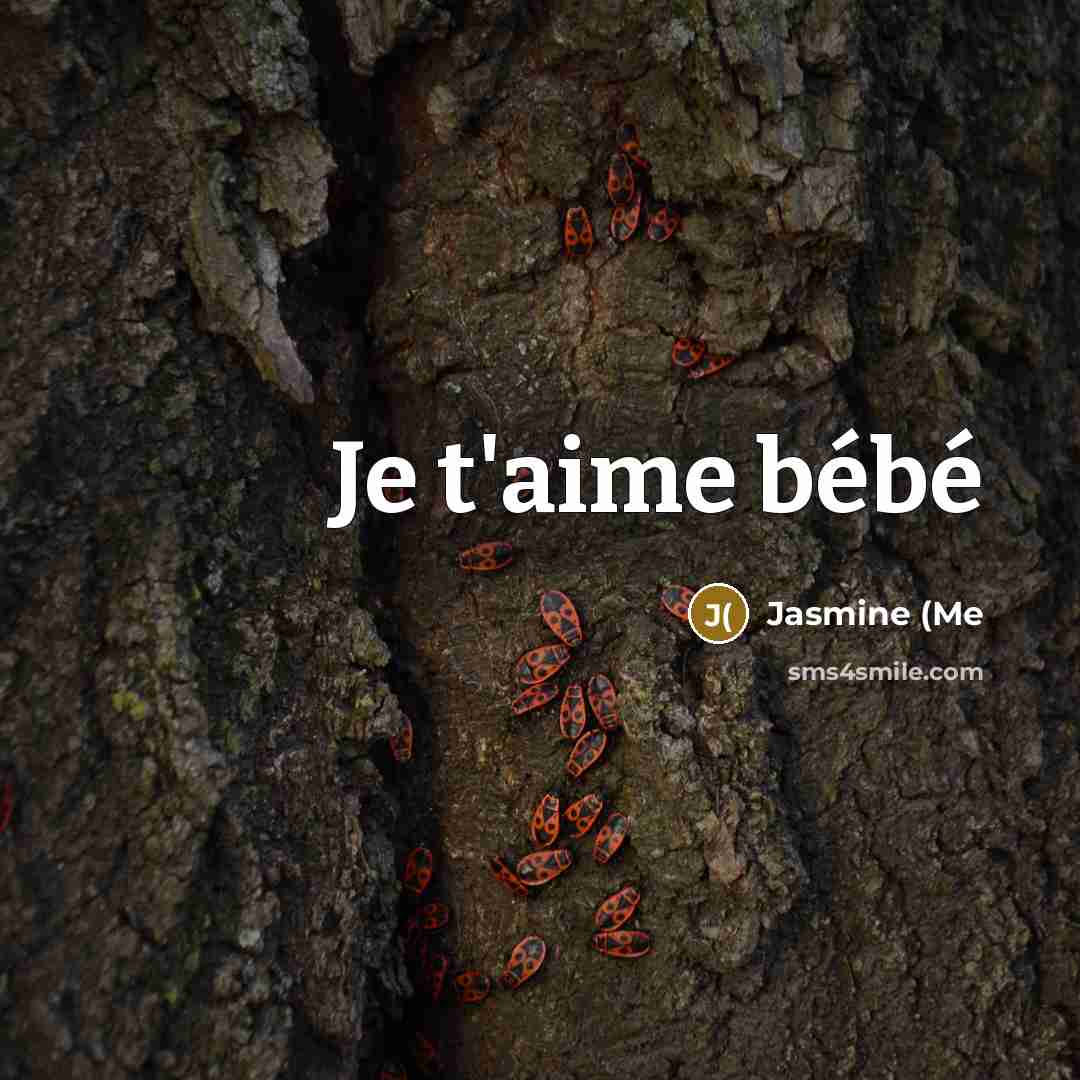 “Je t'aime bébé” quote by Jasmine (me