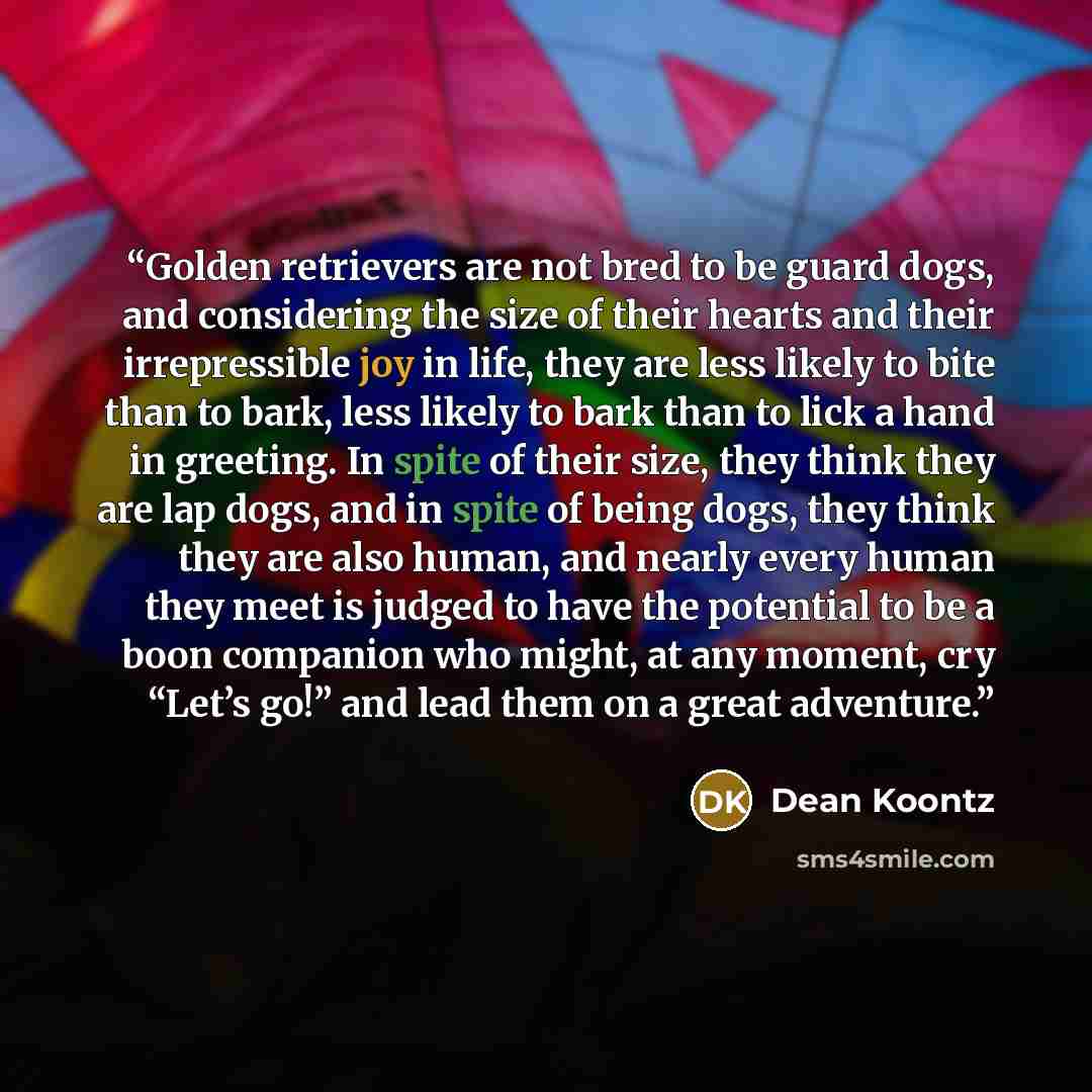 “Golden retrievers are not bred to be guard dogs, and considering the size of their hearts and their irrepressible joy in life, they are less likely to bite than to bark, less likely to bark than to lick a hand in greeting. In spite of their size, they think they are lap dogs, and in spite of being…” quote by Dean Koontz
