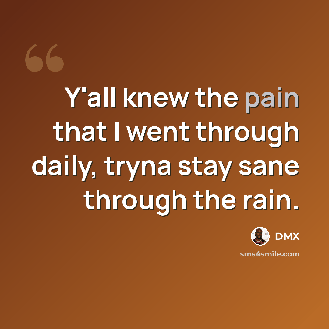 “Y'all knew the pain that I went through daily, tryna stay sane through the rain.” quote by Dmx