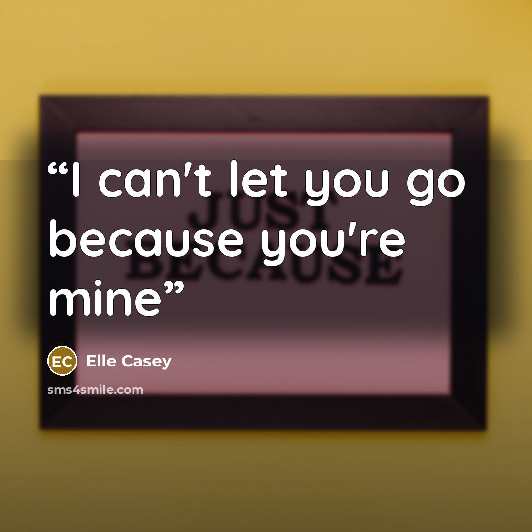 “I can't let you go because you're mine” quote by Elle Casey