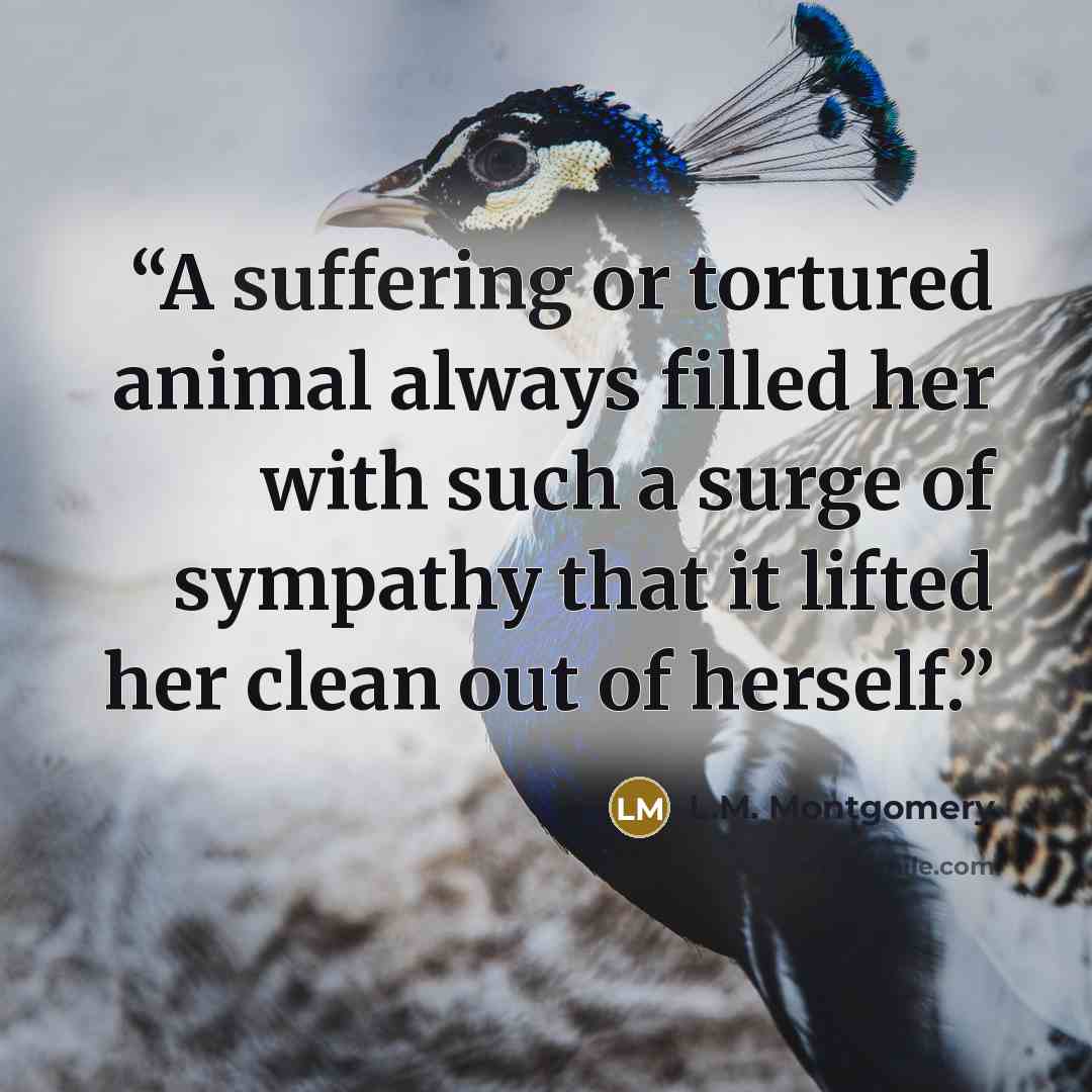 “A suffering or tortured animal always filled her with such a surge of sympathy that it lifted her clean out of herself.” quote by L.M. Montgomery