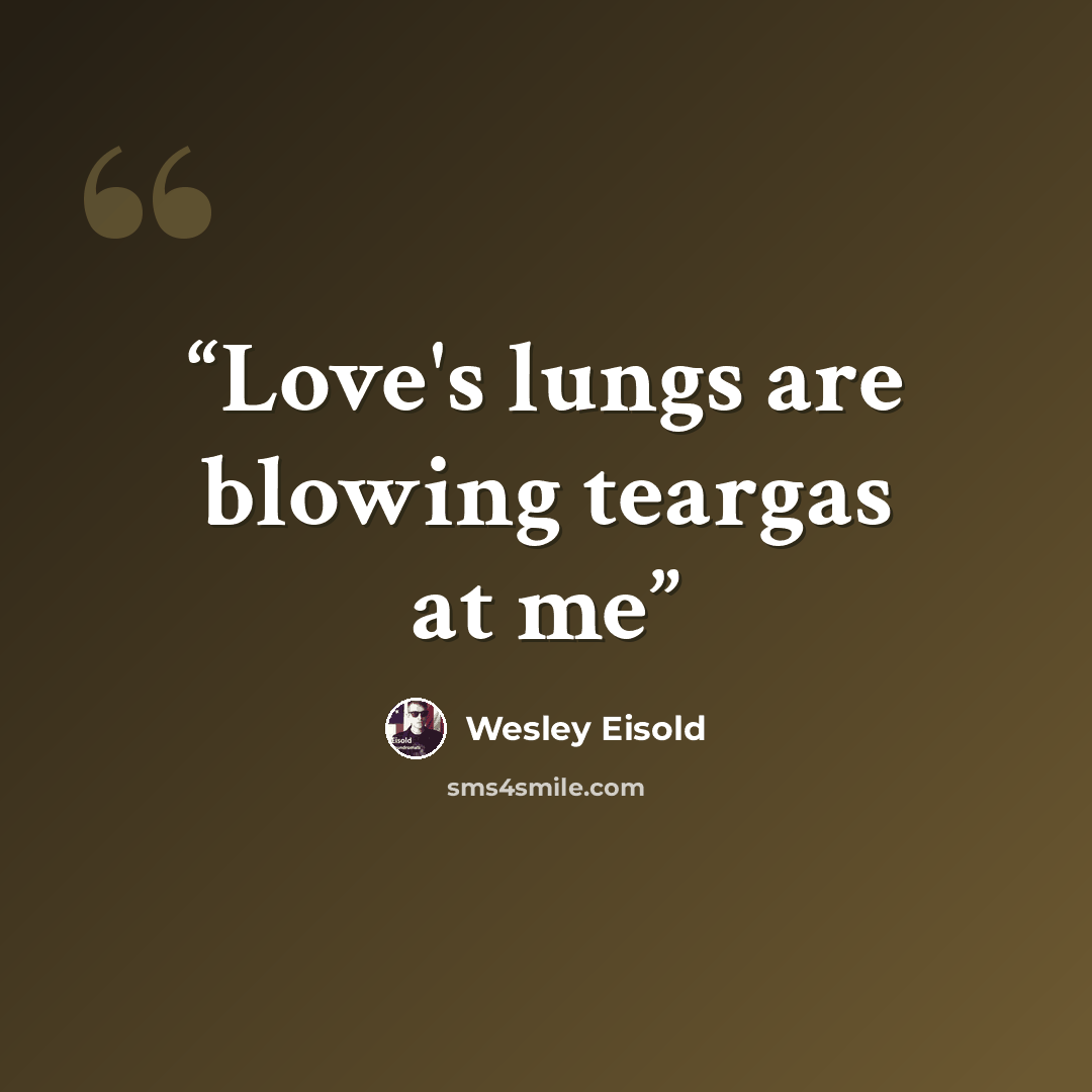 “Love's lungs are blowing teargas at me” quote by Wesley Eisold