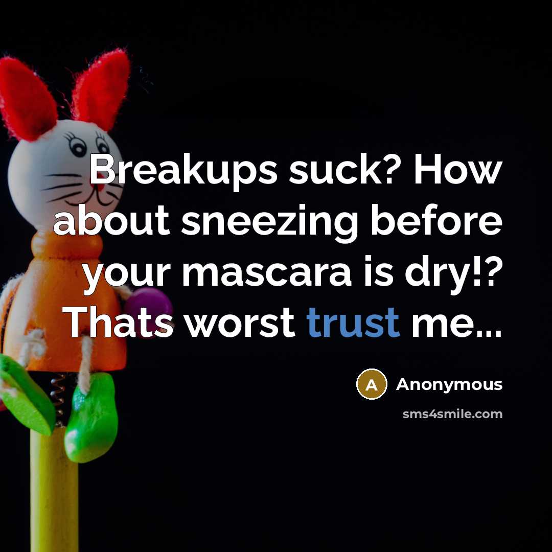“Breakups suck? How about sneezing before your mascara is dry!? Thats worst trust me...” quote by Anonymous