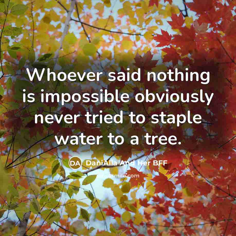 “Whoever said nothing is impossible obviously never tried to staple water to a tree.” quote by DaniAlla And Her BFF