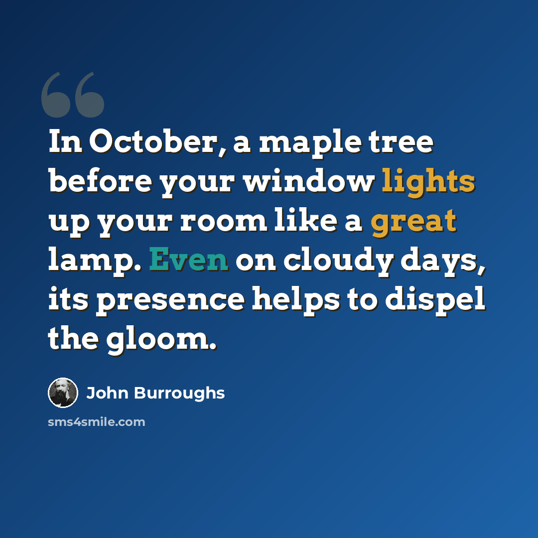 “In October, a maple tree before your window lights up your room like a great lamp. Even on cloudy days, its presence helps to dispel the gloom.” quote by John Burroughs