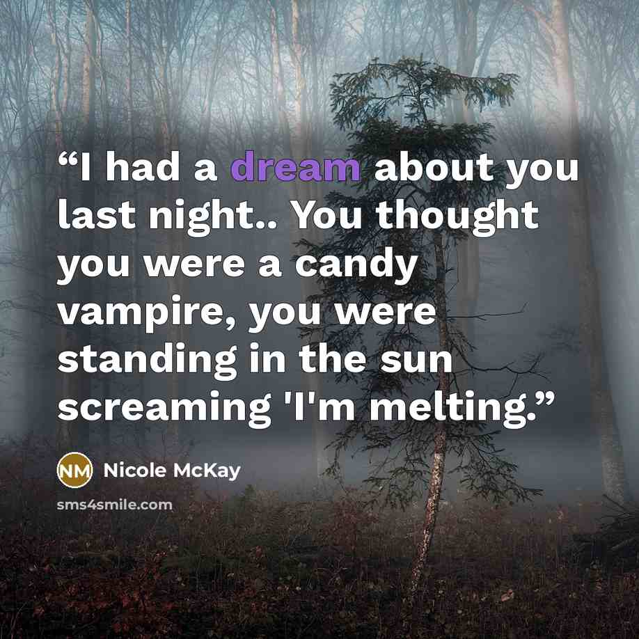 “I had a dream about you last night.. You thought you were a candy vampire, you were standing in the sun screaming 'I'm melting.” quote by Nicole McKay