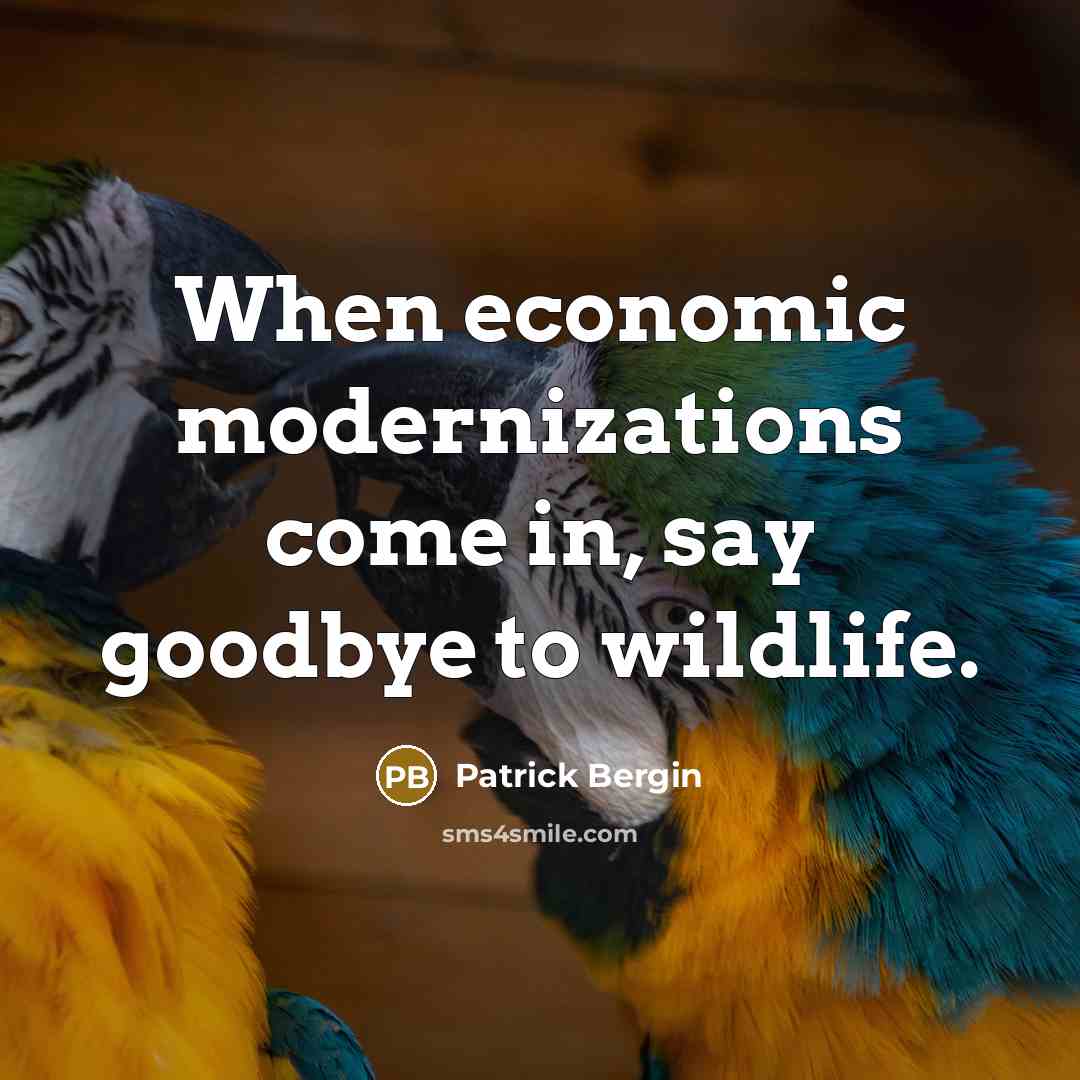 “When economic modernizations come in, say goodbye to wildlife.” quote by Patrick Bergin