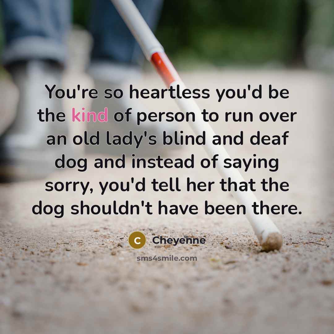 “You're so heartless you'd be the kind of person to run over an old lady's blind and deaf dog and instead of saying sorry, you'd tell her that the dog shouldn't have been there.” quote by Cheyenne