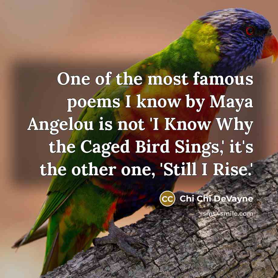 “One of the most famous poems I know by Maya Angelou is not 'I Know Why the Caged Bird Sings,' it's the other one, 'Still I Rise.'” quote by Chi Chi DeVayne