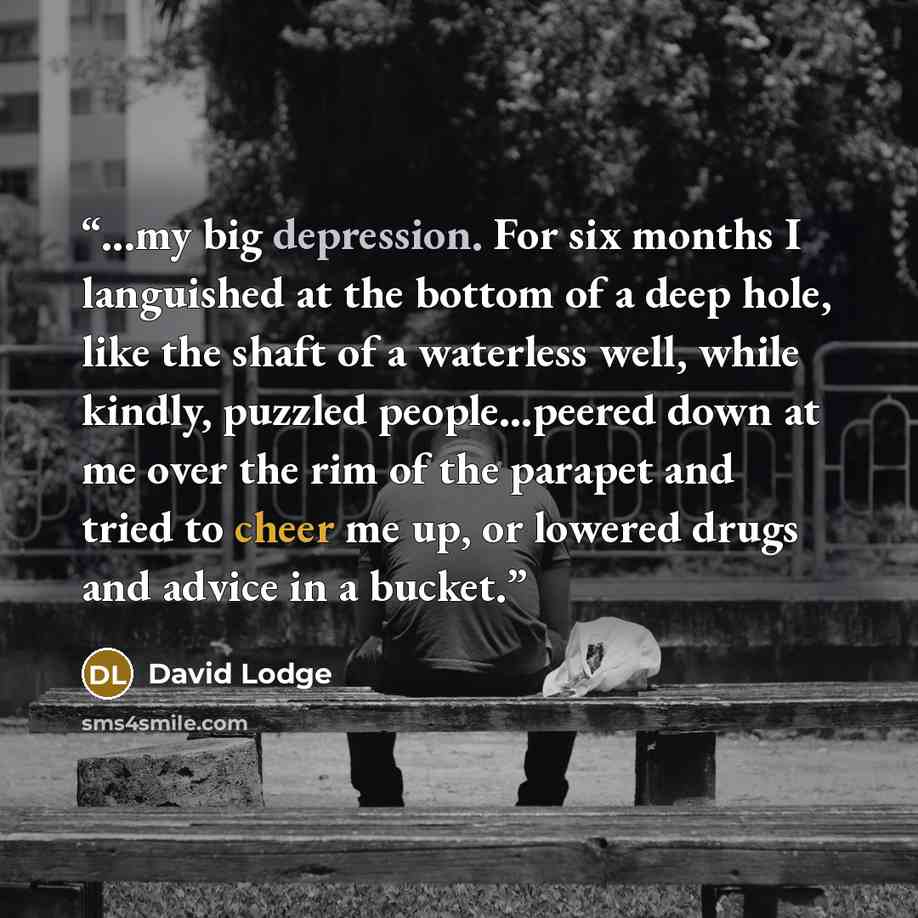 “...my big depression. For six months I languished at the bottom of a deep hole, like the shaft of a waterless well, while kindly, puzzled people...peered down at me over the rim of the parapet and tried to cheer me up, or lowered drugs and advice in a bucket.” quote by David Lodge